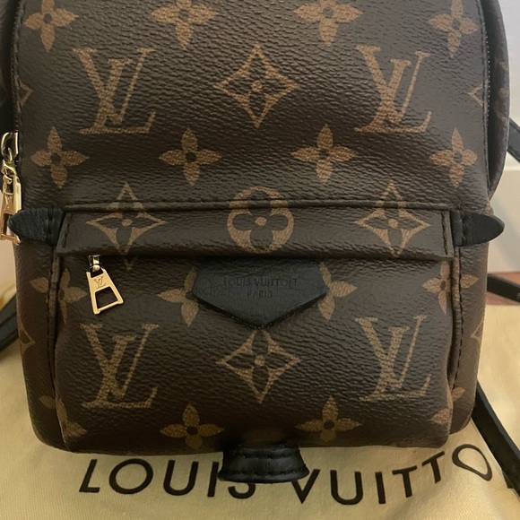 🤎 Authentic Louis Vuitton Palm Springs Mini Backpack - Picture 2 of 9